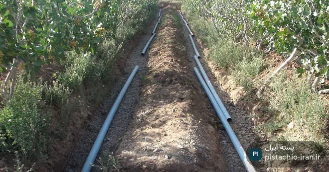 آبیاری زیر سطحی درخت پسته